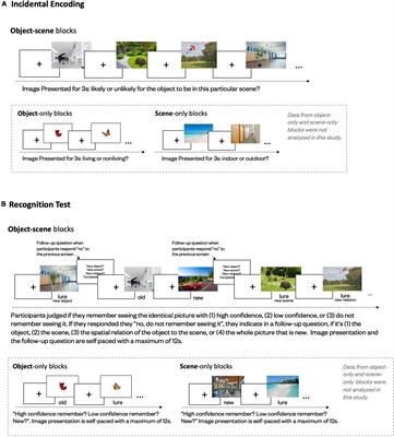 A Double-Edged Sword: The Role of Prior Knowledge in Memory Aging